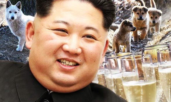 kim-jong-un-north-KOREA-food-pet-dogs-world-leader-1324811